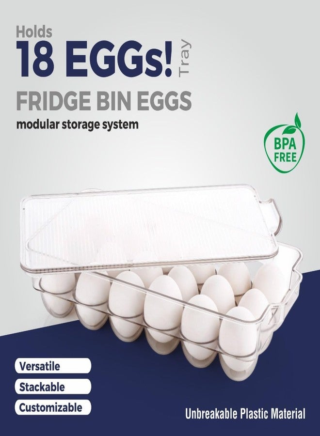 ELEXIQ Acrylic Egg Storage Box for 18 Eggs | Unbreakable - Image 4